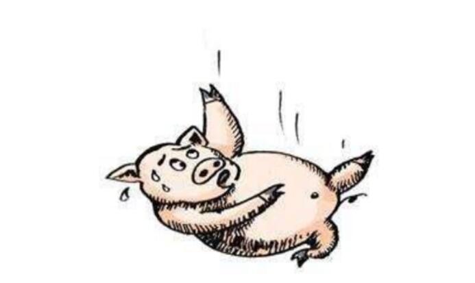 生豬行業(yè)各發(fā)展階段，2017~2030將迎來(lái)黃金期和倒閉潮？