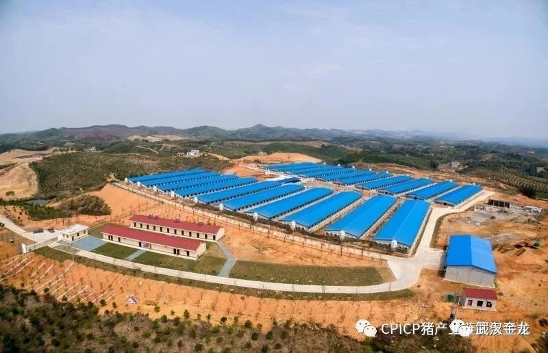 一件事，一群人，一輩子 ——CPICP豬產(chǎn)業(yè)鏈訪武漢金龍畜禽有限公司