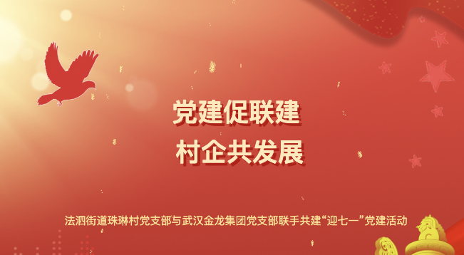 “黨建促聯(lián)建 村企共發(fā)展”——法泗街道珠琳村黨支部與武漢金龍集團黨支部聯(lián)手共建“迎七一”黨建活動